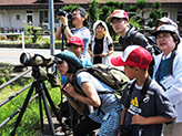 Roller observation gathering and conservation activities