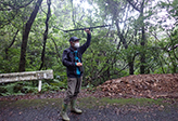 Follow-up survey on the Amami woodpecker  