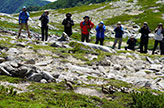 Rock ptarmigan family successfully returned to the wild in Japan’s Central Alps