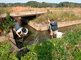 水生動物のモニタリング調査