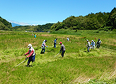 協議会員による一斉草刈り