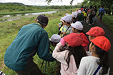 春の多摩川の土手で野鳥を見る2年生児童