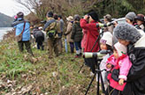 オシドリ観察会