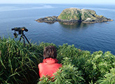 礼文島海驢（トド）島での海鳥調査