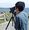 礼文島スコトン岬よりトド島の海鳥を観察
