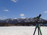 ある調査地の風景