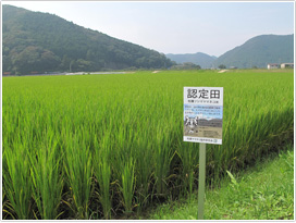 減農薬の看板