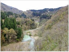 山地のサシバの生息地