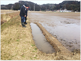 トキが飛来していた田んぼに作った江