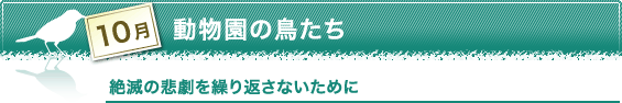 10月　動物園の鳥たち　絶滅の悲劇を繰り返さないために