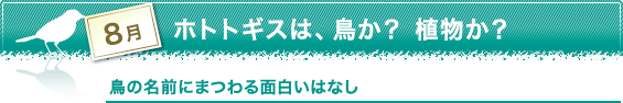 8月　ホトトギスは、鳥か？　植物か？