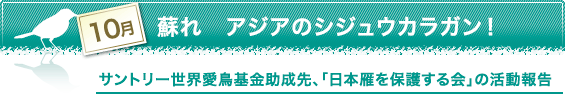 10月　蘇れ　アジアのシジュウカラガン！