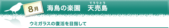 ウミガラスの復活を目指して