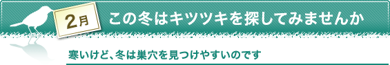 寒いけど、冬は巣穴を見つけやすいのです