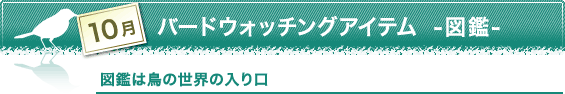 10月　バードウォッチングアイテム -図鑑-　図鑑は鳥の世界の入り口