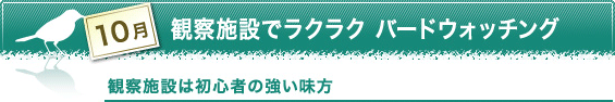 10月　観察施設でラクラクバードウォッチング　観察施設は初心者の強い味方