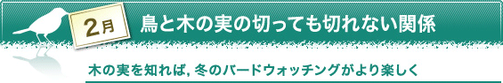 2月　鳥と木の実の切っても切れない関係　木の実を知れば，冬のバードウォッチングがより楽しく