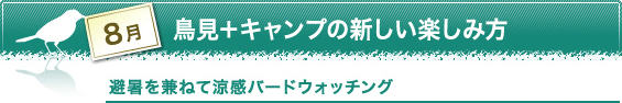 8月　鳥見+キャンプの新しい楽しみ方　避暑を兼ねて涼感バードウォッチング