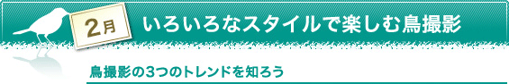 2月　いろいろなスタイルで楽しむ鳥撮影　鳥撮影の3つのトレンドを知ろう