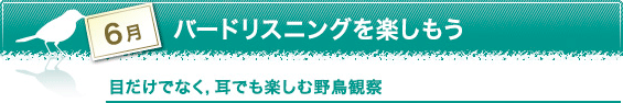 6月 バードリスニングを楽しもう 目だけでなく,耳でも楽しむ野鳥観察 6月 バードリスニングを楽しもう 目だけでなく,耳でも楽しむ野鳥観察