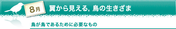 8月　翼から見える，鳥の生きざま　鳥が鳥であるために必要なもの