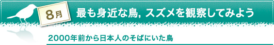 8月　最も身近な鳥，スズメを観察してみよう　2000年前から日本人のそばにいた鳥